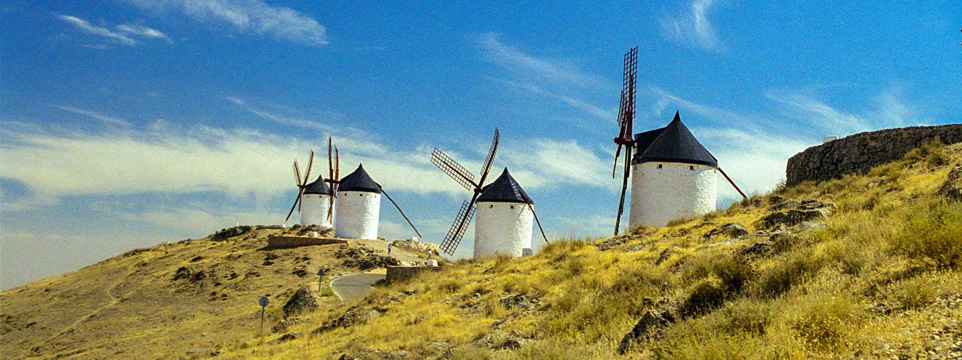 Molinos de viento.